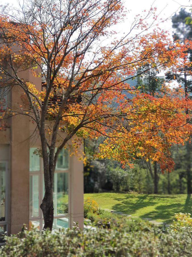 ShitanAround The Tree Manorアパートメント 部屋 写真