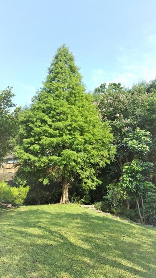 ShitanAround The Tree Manorアパートメント 部屋 写真
