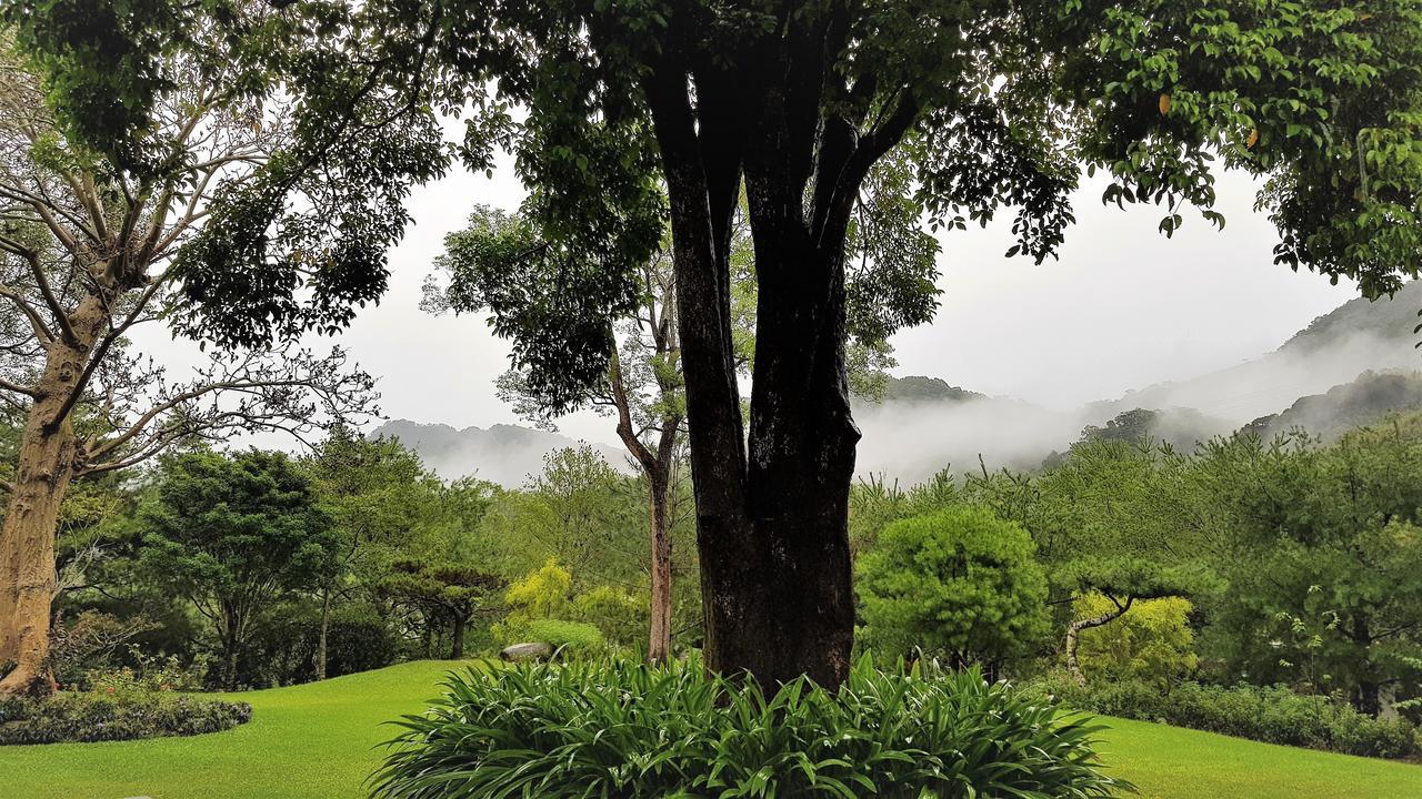 ShitanAround The Tree Manorアパートメント 部屋 写真