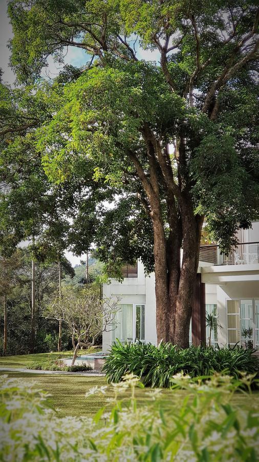 ShitanAround The Tree Manorアパートメント 部屋 写真