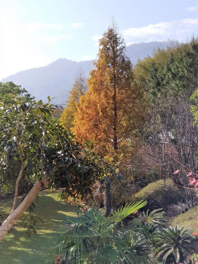 ShitanAround The Tree Manorアパートメント 部屋 写真